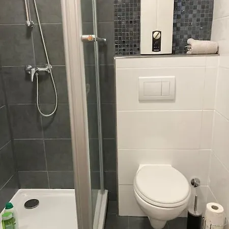 Apartament Am Rhein Ganze Netflix Internet 1000 Mbits, Free Parking *