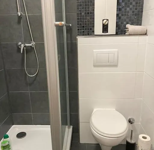 公寓 Am Rhein Ganze Netflix Internet 1000 Mbits, Free Parking *