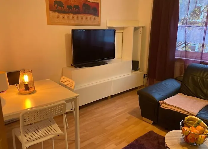 Am Rhein Ganze Netflix Internet 1000 Mbits, Free Parking *